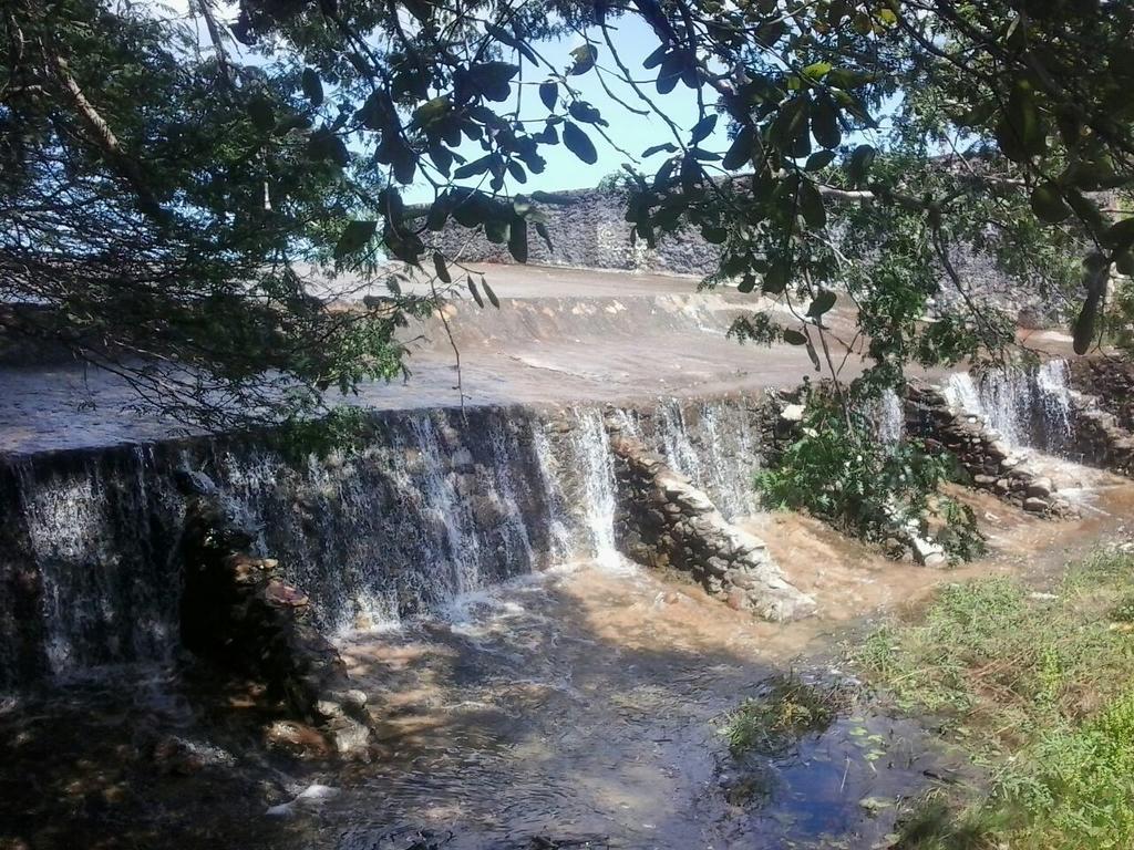 Meu Paraiso