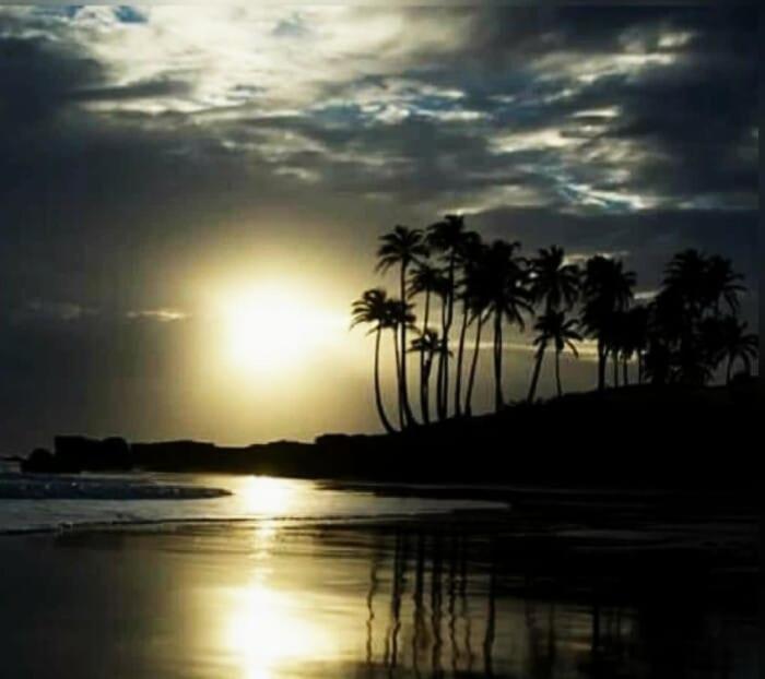 Meu Paraiso Inn *